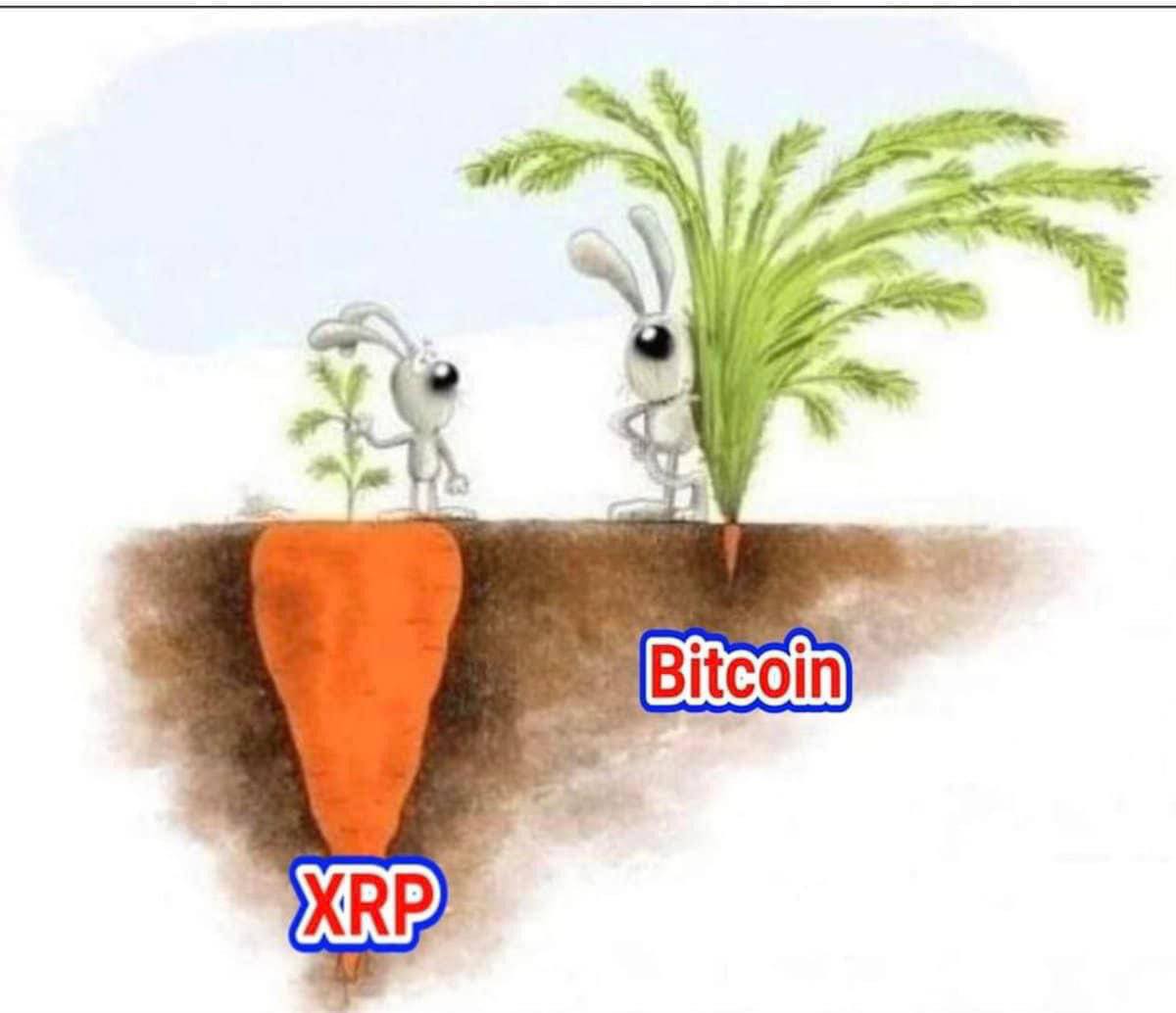 thuylinhtmc's tweet photo. Next #xrp 🚀🚀🚀 https://t.co/eXsO20URL1
