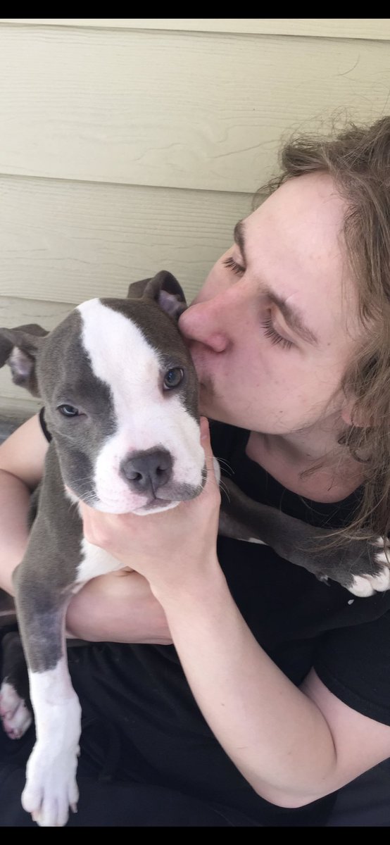 BumblingBlond's tweet photo. @bunsenbernerbmd I was walking through The Humane Society and saw Tasia. She was so scared and sad in her kennel. I looked into her sweet eyes and knew she was my dog. This picture is of her first day at home. https://t.co/4B3Dlxw16B