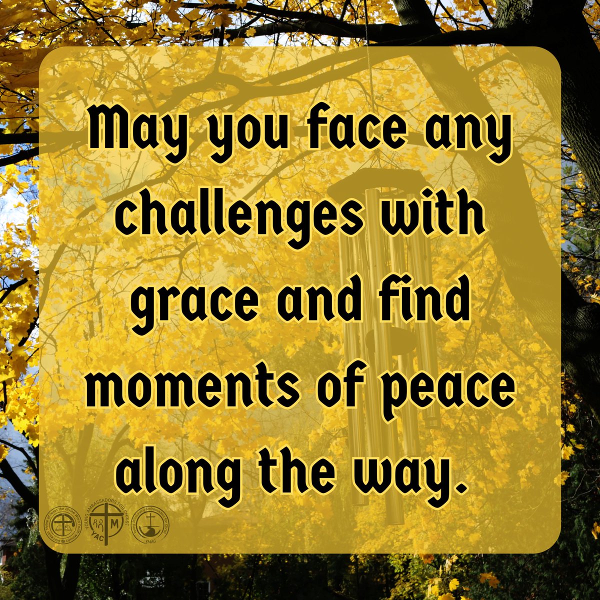 YMACmomqpm's tweet image. On this Wednesday, may you find strength in every step you take, and may each moment bring you closer to your dreams.

#WednesdayBlessings #StrengthInEveryStep #EmbraceOpportunities #SpreadPositivity #MakeItExtraordinary 

***

#YAC #YMAC #SYM #SVDyouth 
#SHRINEyouthMinistry