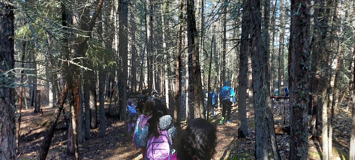 BPSHawks5's tweet photo. Thank you to @insideeducation and our parent volunteers for a fantastic day at Griffith Woods Park, learning about wetlands and connecting with our land #bpshawkslearn #bpshawks5 https://t.co/bLMNJOal0Z