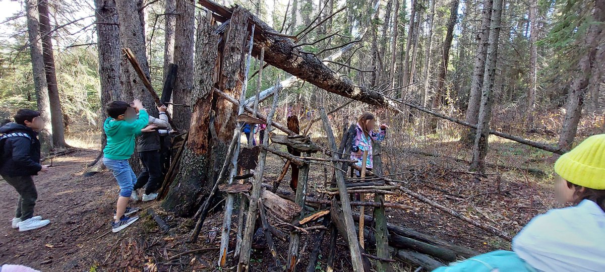 BPSHawks5's tweet photo. Thank you to @insideeducation and our parent volunteers for a fantastic day at Griffith Woods Park, learning about wetlands and connecting with our land #bpshawkslearn #bpshawks5 https://t.co/bLMNJOal0Z