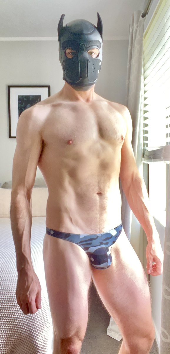 PupSox's tweet photo. This doesn’t fit the definition of Joctober attire, but it’s still fun to wear 🐾🦴 https://t.co/lI6raY0pAN