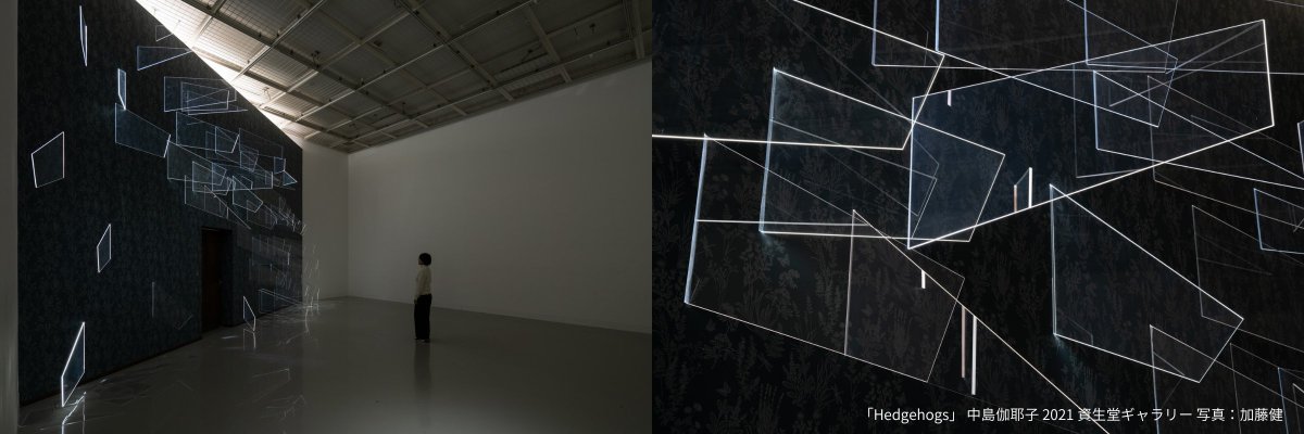 mcgc_jp's tweet photo. 当社グループが参加している@2121DESIGNSIGHTで開催中の企画展「Material, or 」。

関連プログラム「クリエイターズトークvol.4」は当社グループ社員でデザイナーの前田高輔と美術作家の中島伽耶子さんのトークです。

中島さんは2021年の個展の際に当社グループ製品の #アクリライト™ を使いインスタレーションを制作してくださいました。

この機会に、新価値・高付加価値を当社グループの材料・技術から見出す様々な取り組みにご注目ください。

クリエイターズト��クvol.4
中島伽耶子 × 前田高輔
https://t.co/9Hoc2Z0fn1

#21_21designsight #Materialor
#東京都現代美術館 #清澄白河 #現代美術 #アート #tokyo #art