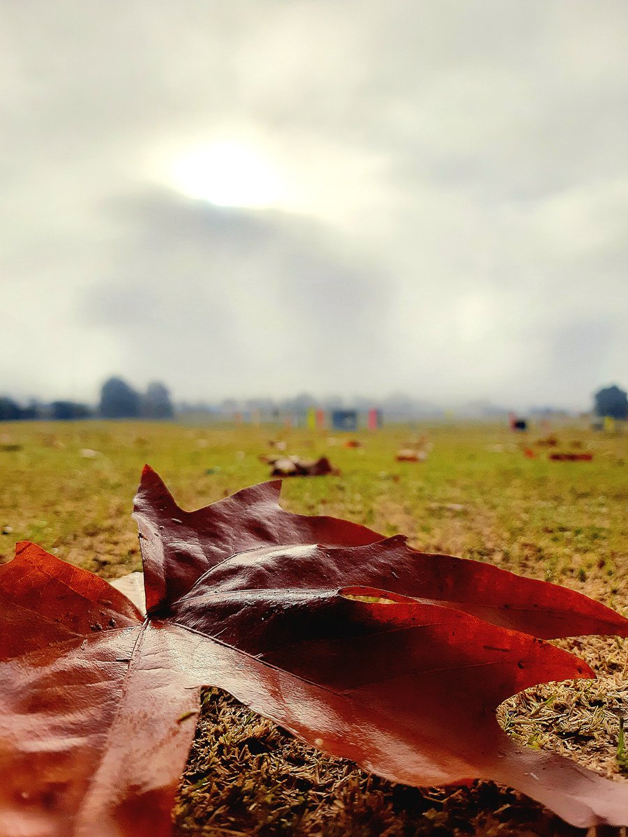 Autumn exists to remind us that things must end to begin again.
#Kishtwar #autumnleaves
