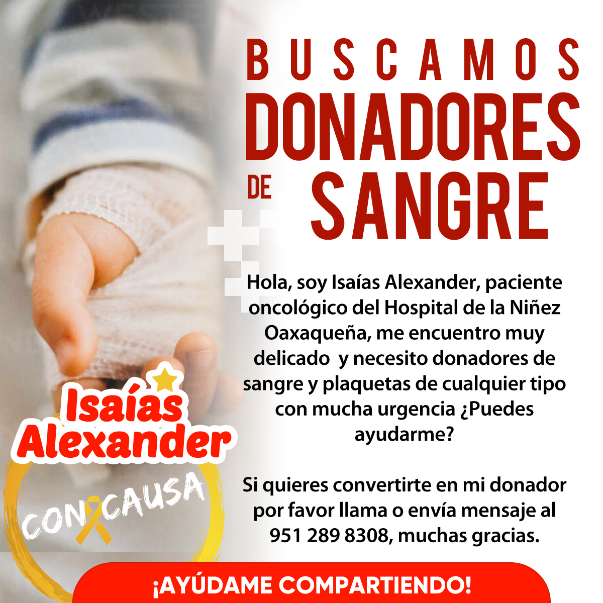 ConCausaMX's tweet photo. El pequeño Isaías se encuentra muy delicado y necesita sangre y plaquetas con mucha urgencia, ayúdanos compartiendo esta publicación y si puedes también donándole 🩸🎗️❤️ #ConCausa #Oaxaca #CancerInfantil https://t.co/vKfUQEhFzP