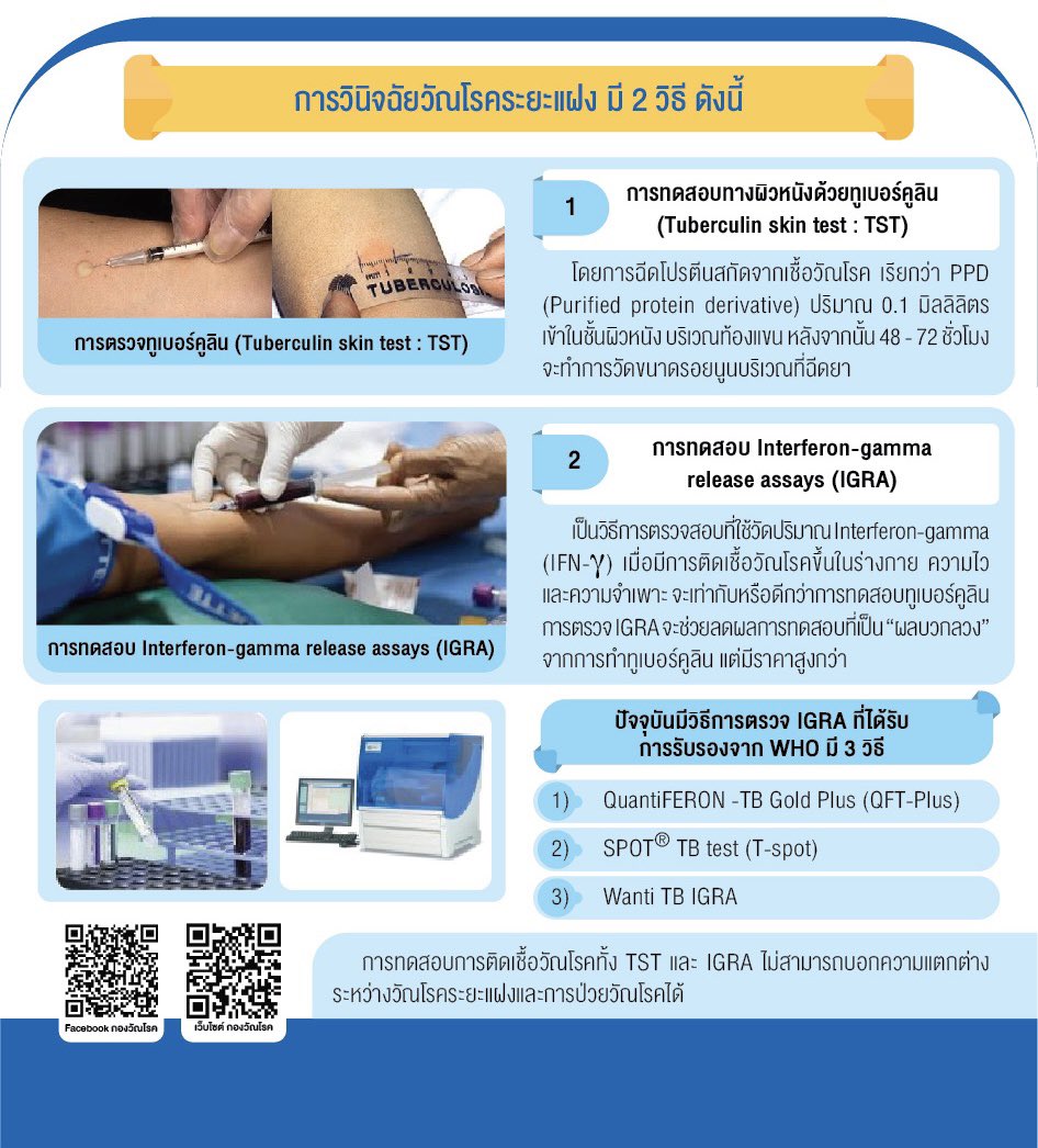 tbthailand's tweet photo. วัณโรคระยะแฝงคืออะไร แล้วการตรวจหาวัณโรคระยะแฝงต้องทำอย่างไรบ้าง ? 🫁 

#กองวัณโรค #กรมควบคุมโรค #กระทรวงสาธารณสุข https://t.co/VhTfz7fNle