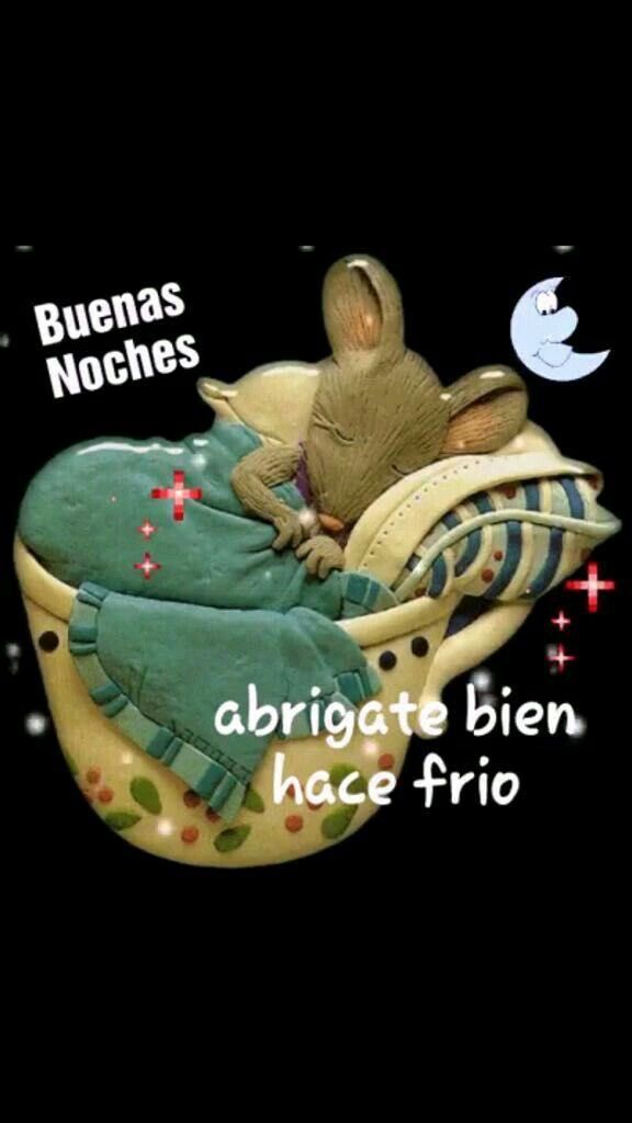 Rosa Ibarra (@rosaiba58330843) on Twitter photo 