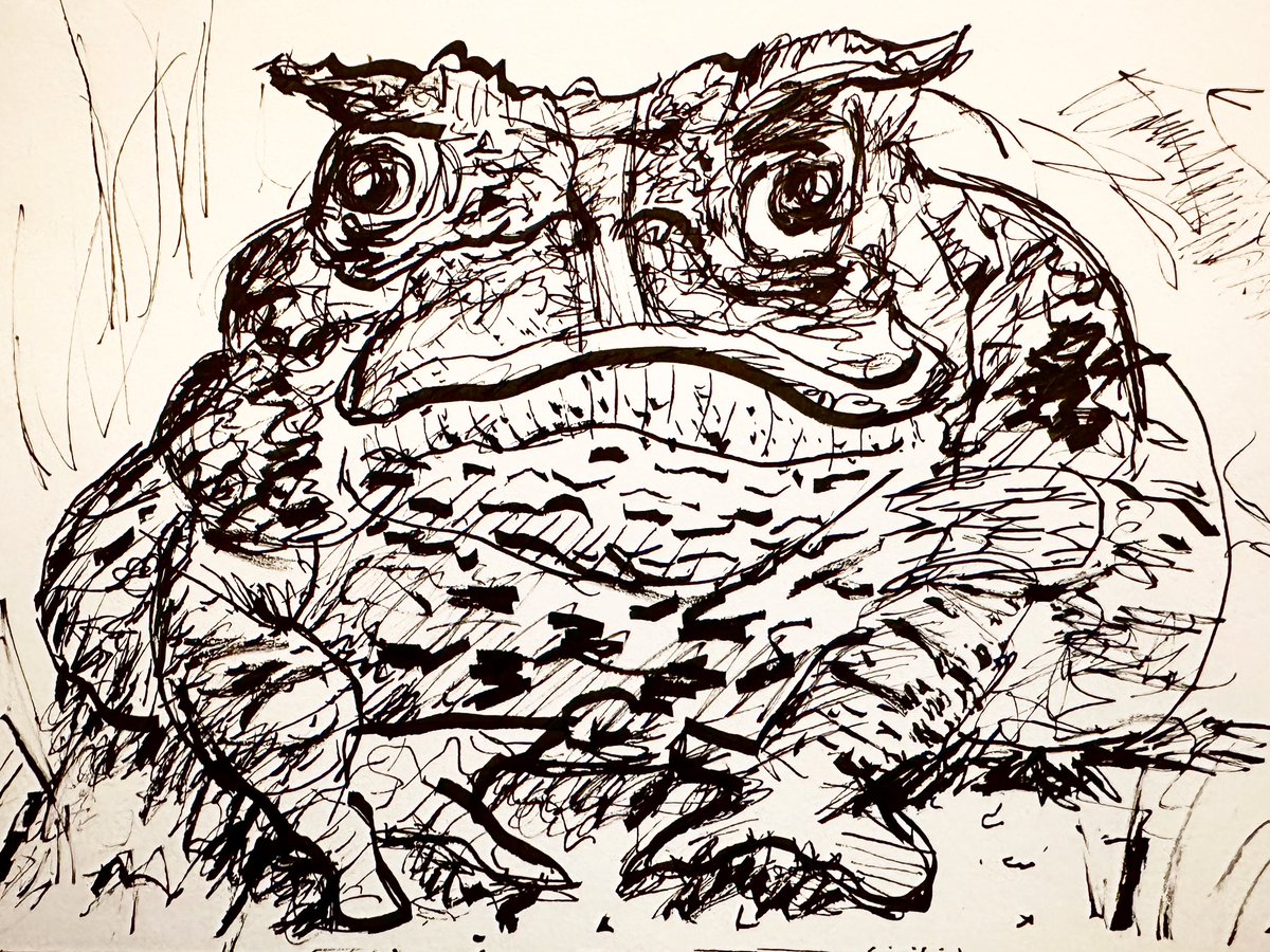 FaheyGraphic's tweet photo. #inktober #inktoberday8 #toad #art #drawing #ink #illustration #sketch #artist #sketchbook #draw #inktober2023 https://t.co/MjYO5GkZSN