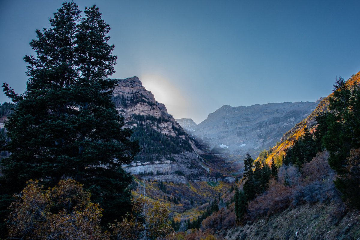 oledanielson's tweet image. #BeaUTAHful end of fall colors by  #CascadeSprings and #AlpineLoop ⁦@ThomasGeboyWX⁩ ⁦@AlanaBrophyNews⁩
