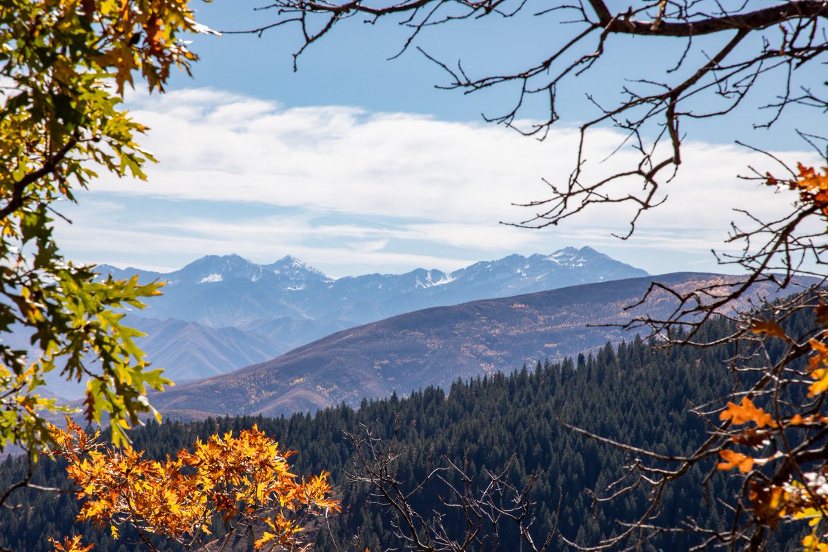 oledanielson's tweet image. #BeaUTAHful end of fall colors by  #CascadeSprings and #AlpineLoop ⁦@ThomasGeboyWX⁩ ⁦@AlanaBrophyNews⁩