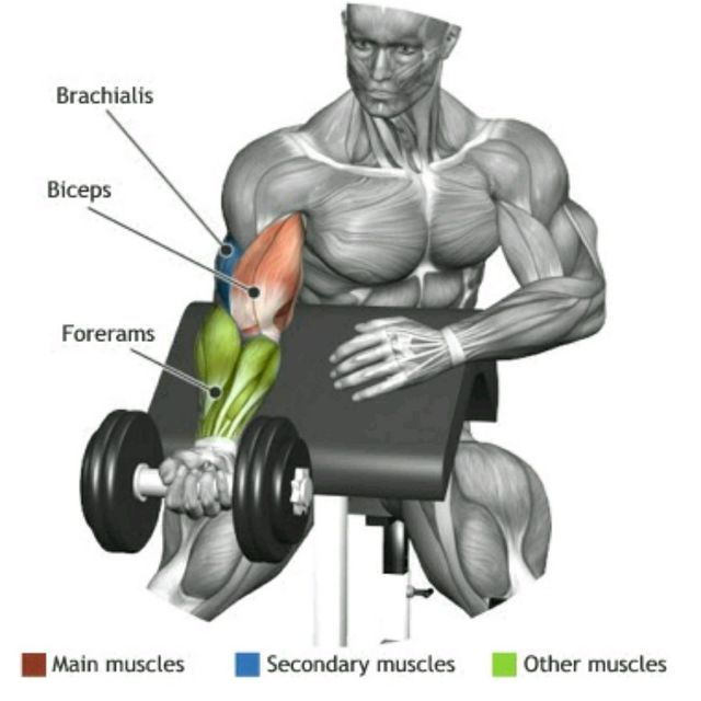 New blog post: Building Bigger Arms: 8 Essential Tips for Noticeable Muscle Growth

muscleboundblog.blogspot.com/2023/10/buildi…

#ArmTraining #ArmMuscles #ArmStrength #ArmPump
#ArmExercises
#BicepExercises
#TricepExercises
#WorkoutRoutine
#StrengthTraining