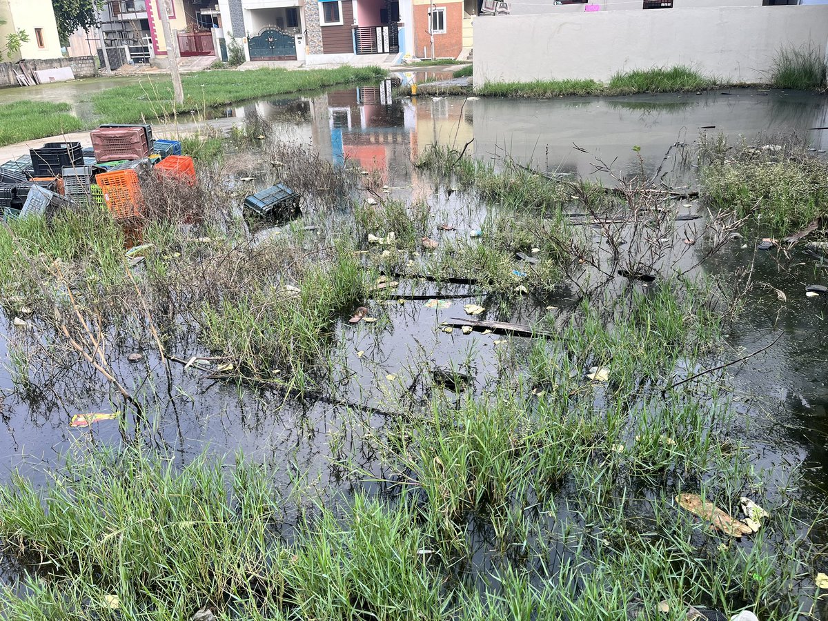 imSnaren's tweet photo. This is how our street looks like in #kundrathur #thandalam No heavy rains in past 15 days still the situation remains the same. Reported 2 elected ward member &amp; chairman but no use. At least some bleaching powder helps @CMOTamilnadu @thamoanbarasan @KanchiCollector #Dengue https://t.co/GDyQRPb1gD
