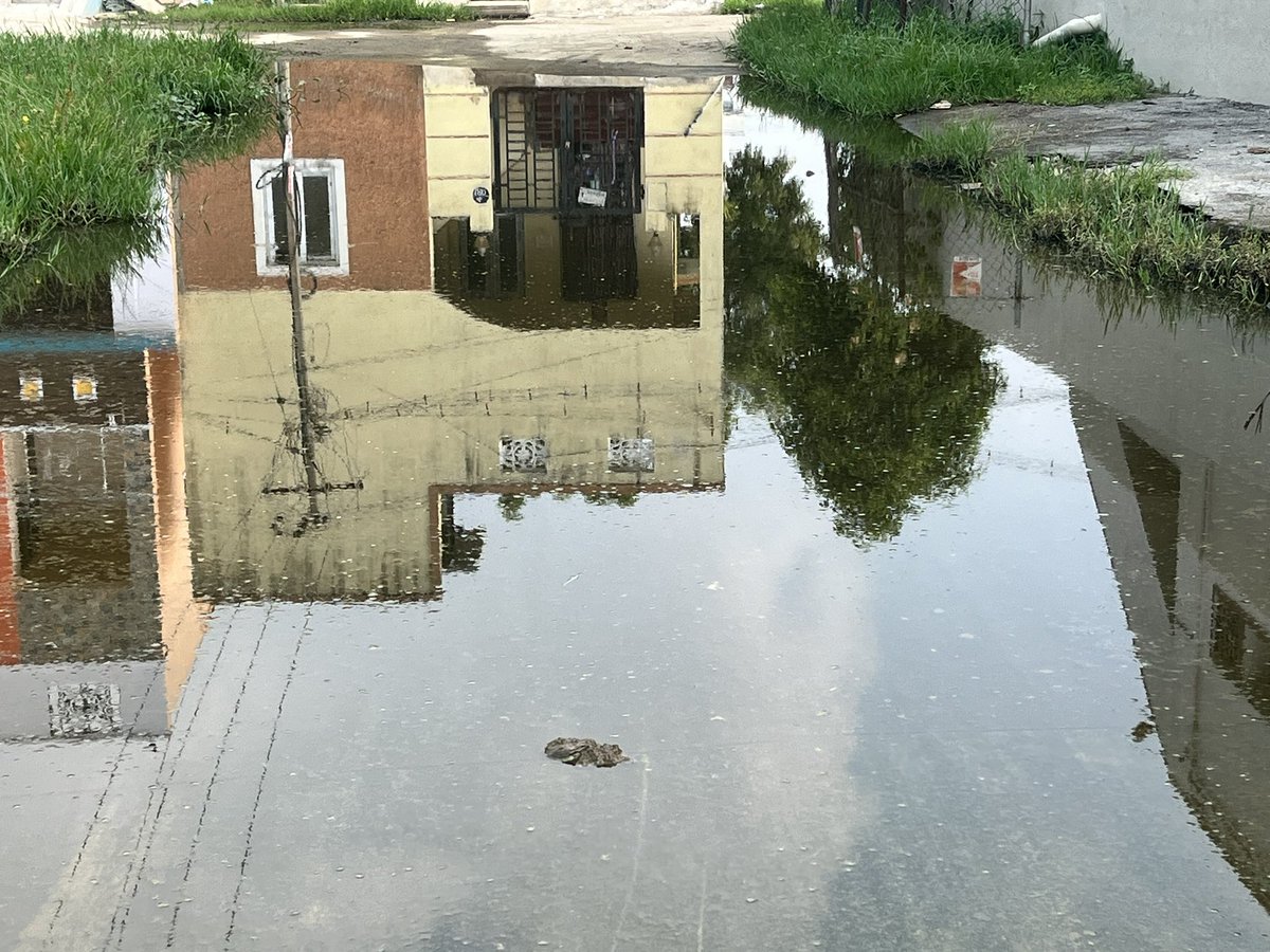 imSnaren's tweet photo. This is how our street looks like in #kundrathur #thandalam No heavy rains in past 15 days still the situation remains the same. Reported 2 elected ward member &amp; chairman but no use. At least some bleaching powder helps @CMOTamilnadu @thamoanbarasan @KanchiCollector #Dengue https://t.co/GDyQRPb1gD