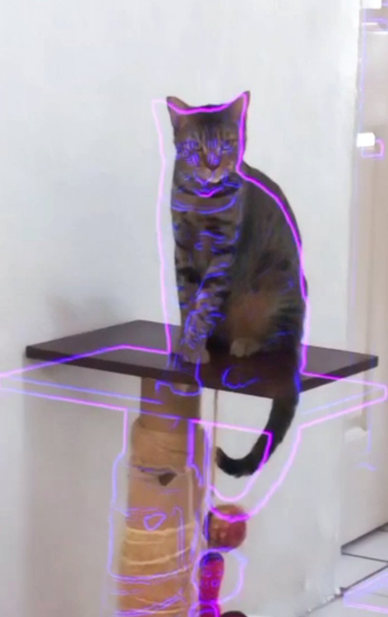 Heidy Tellez tweet media