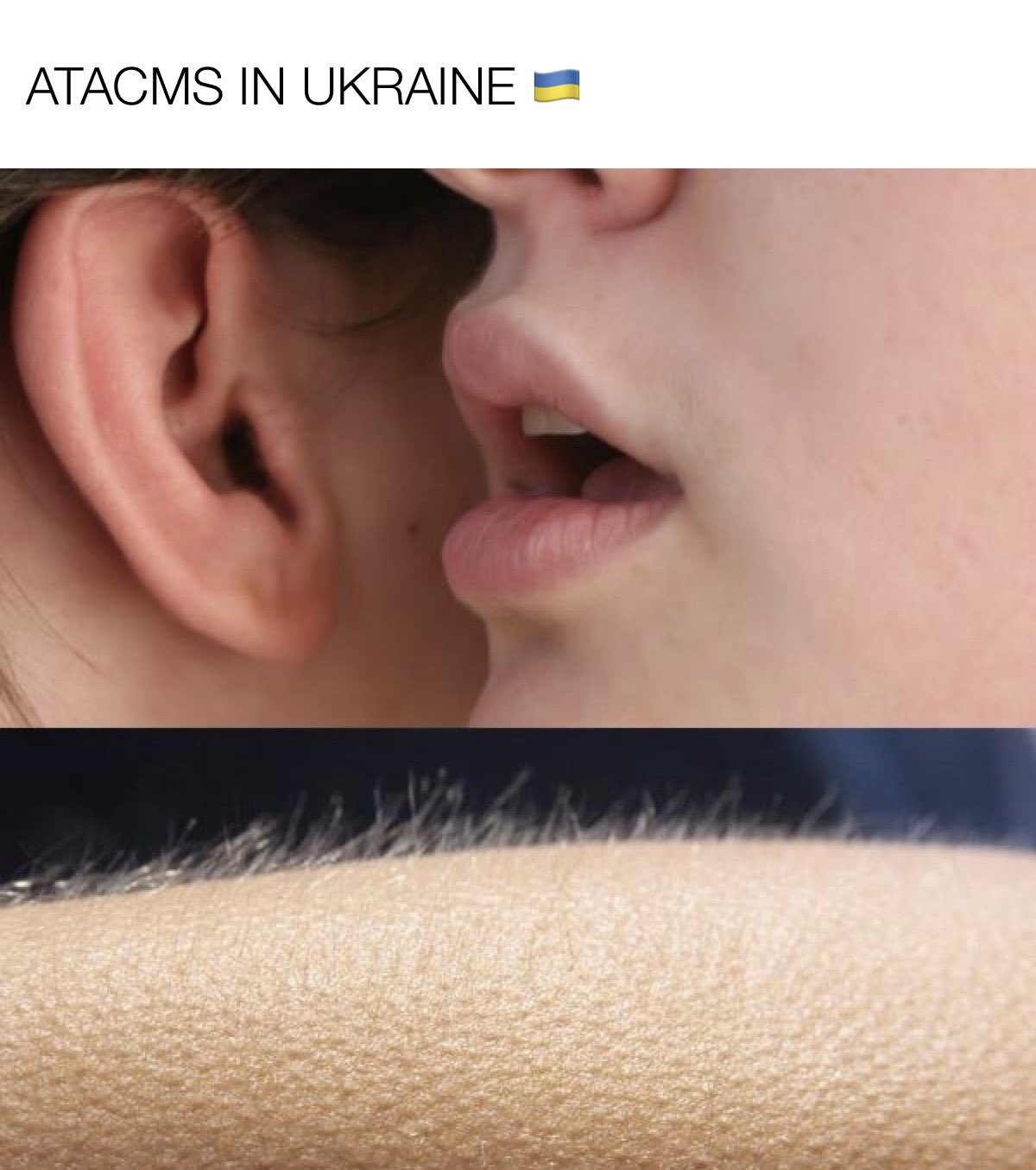 F8sdG_vWUAAQKlx?format=jpg&name=large