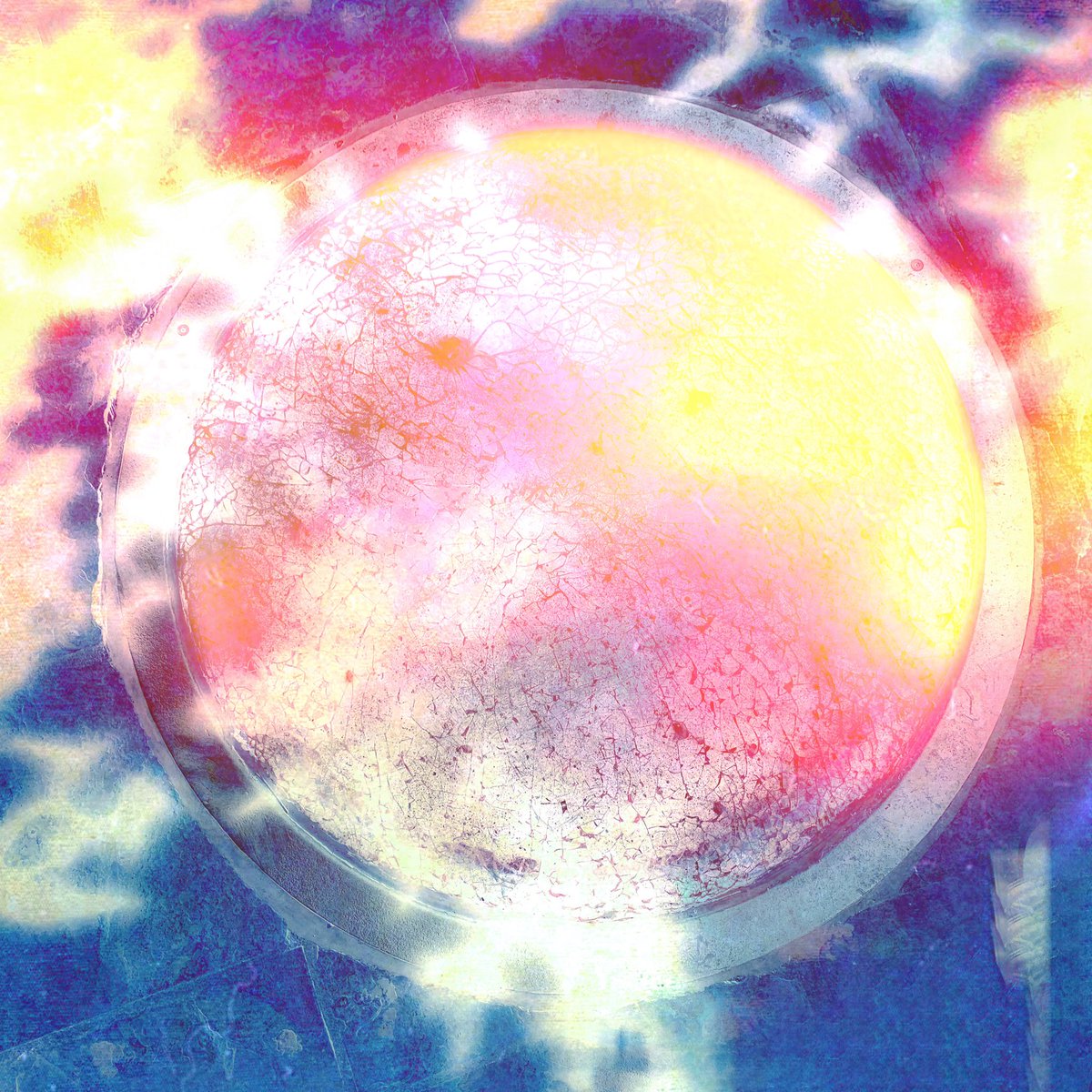 saritogavalley's tweet image. the ##4evr collective

- vivid