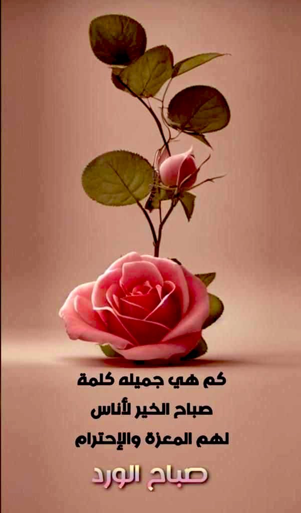 Asma3ufi's tweet photo. #صباح_الخير https://t.co/dW83cR8qIR