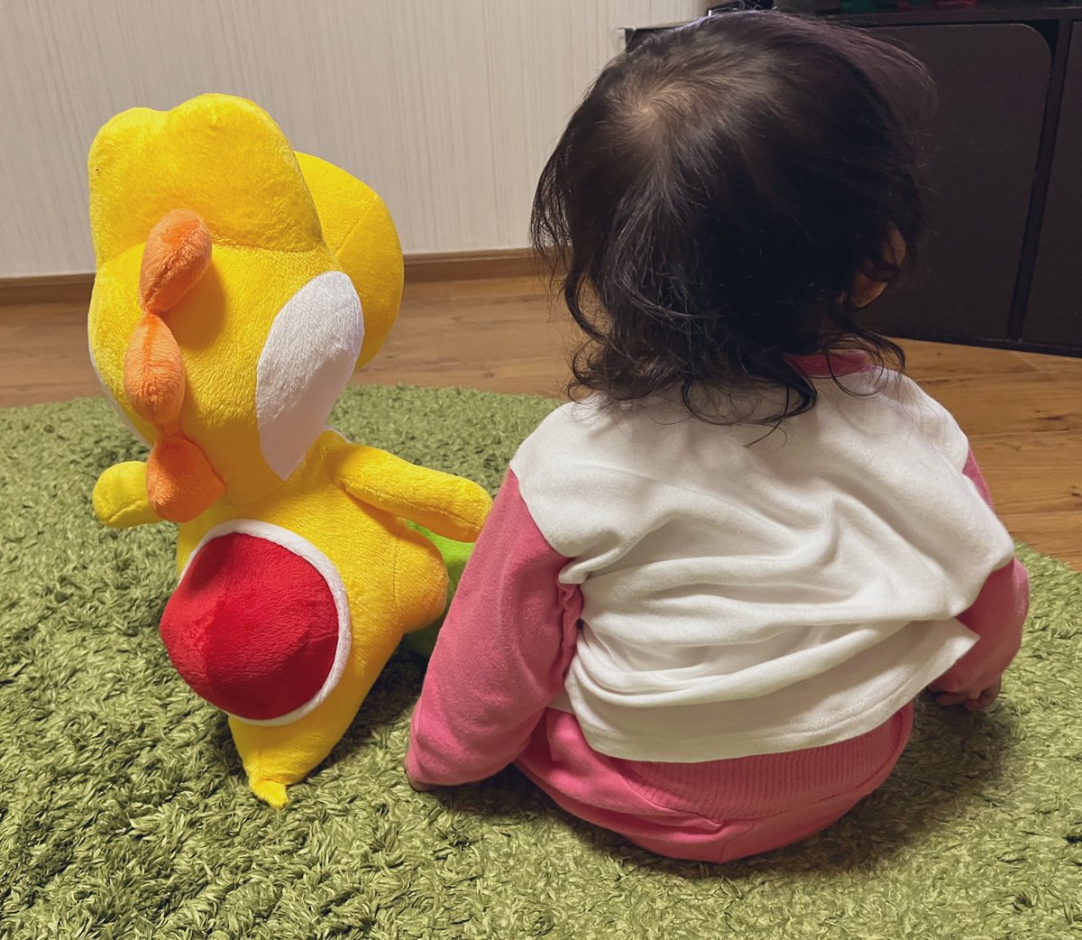 yurimugi's tweet photo. 昨日の夜。
ヨッシーとテレビ見ててかわいい😊 https://t.co/eKx0KMl54F