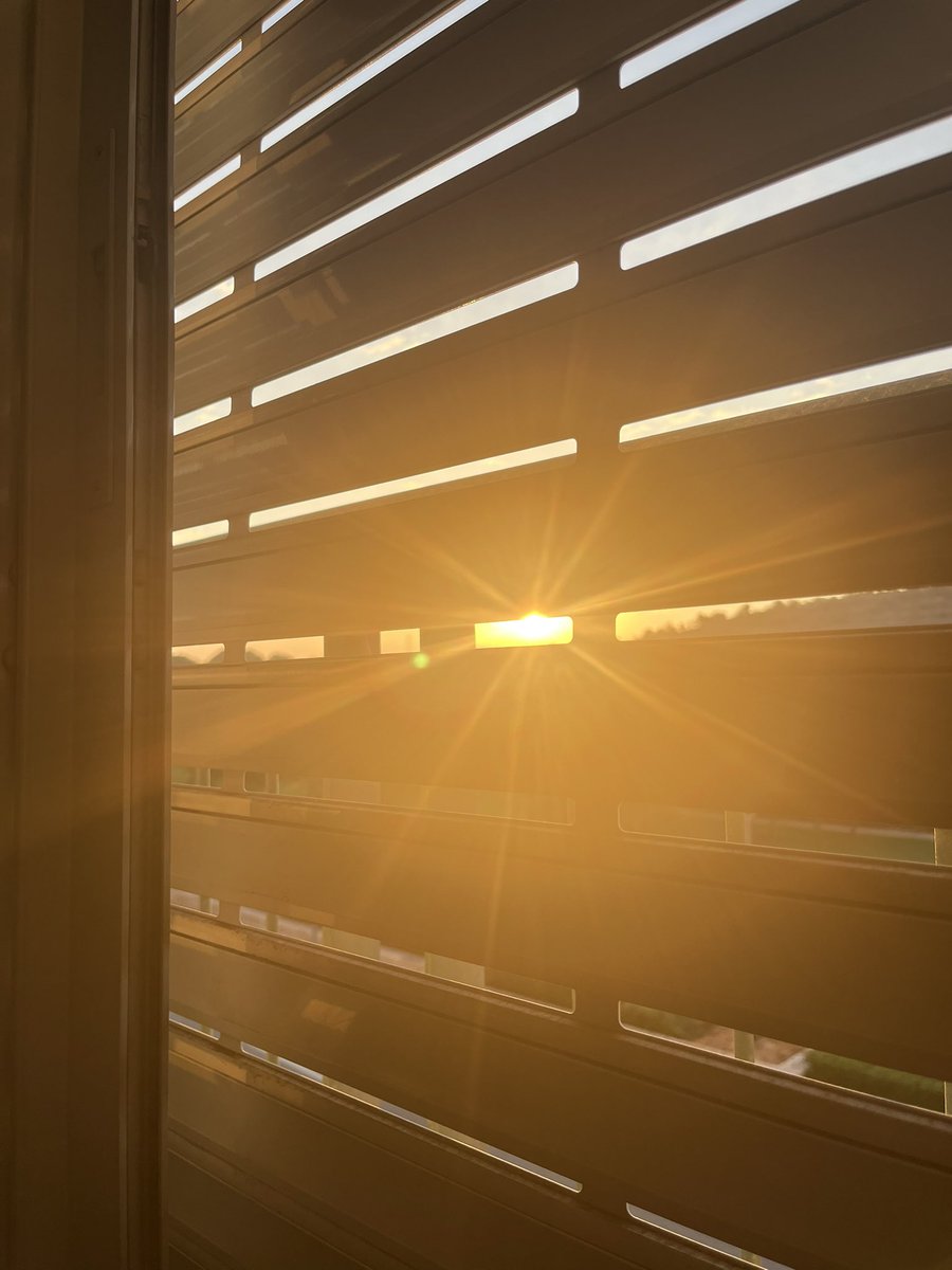 Itai Nathaniel 🤦🏻♂️ tweet media