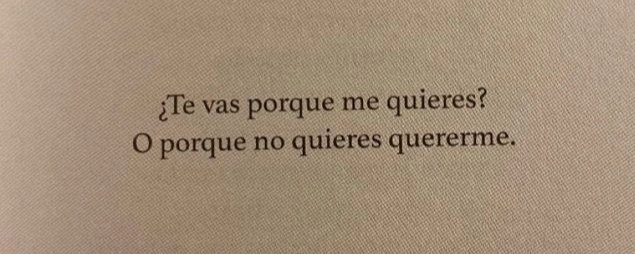 luz_yackelin's tweet image. 