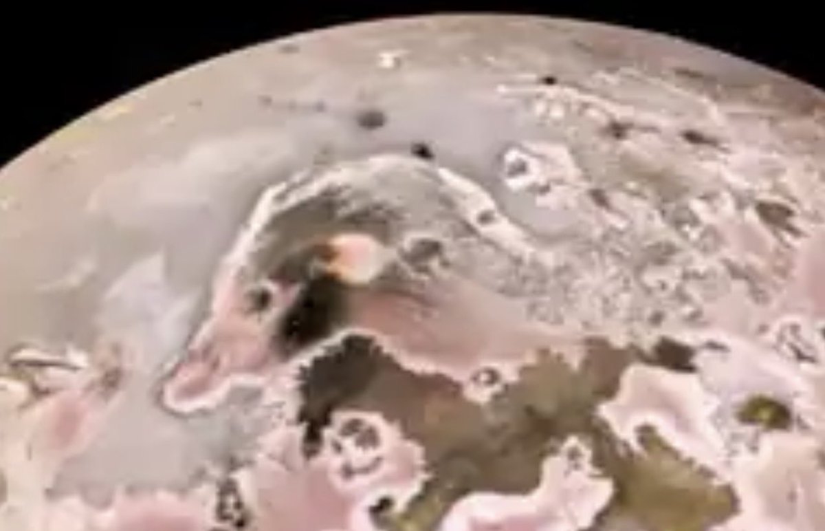 Wow!  Have you seen the giant ferret they discovered on IO?  I knew it. 😂