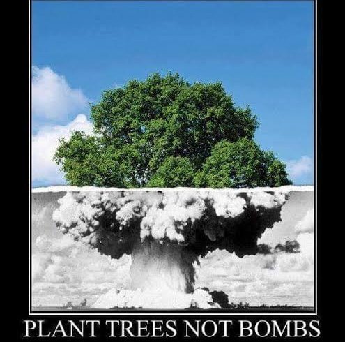 Peaze4all's tweet image. Plant Trees not Bombs 
#SaveHumanity 
#SaveChildren #SaveWorld #SavePalestine #PalestineGenocide 
#GazaAttack #IsraelGazaWar #Hamas #Gaza #Palestine