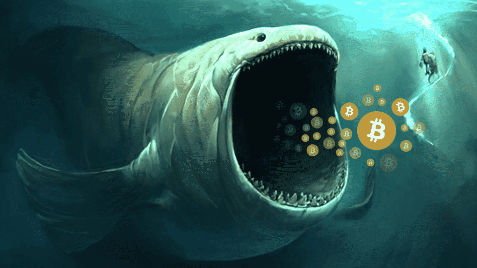 EnjoyDrivechain tweet picture