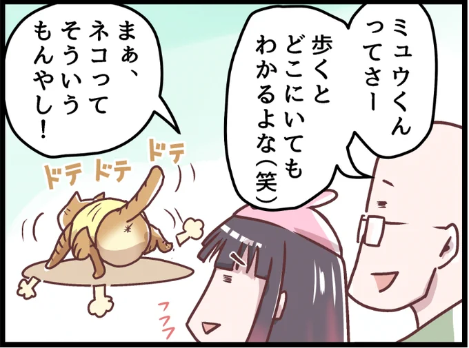 我が家の猫への印象が・・・💦  covovoy.blog.jpからまだ未公開の最新話を読むことができます!  #ニャンコ #まんが #猫 #猫あるある #猫漫画 #ペット #飼い主 #エッセイ漫画 #キャット #猫のいる暮らし