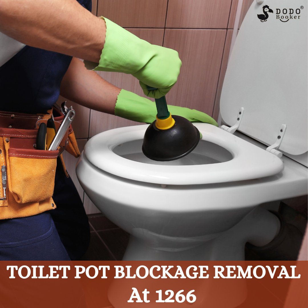 Unleash the Flow at just Rs 1266! Say goodbye to clogs with our expert toilet blockage removal service. 

Book Now - dodobooker.com/en/list
Call Us For More Information - 0803-720-3118

#blockageremoval #toiletblockage #plumbingworks #dodobooker #hyd #affordableflowsolution