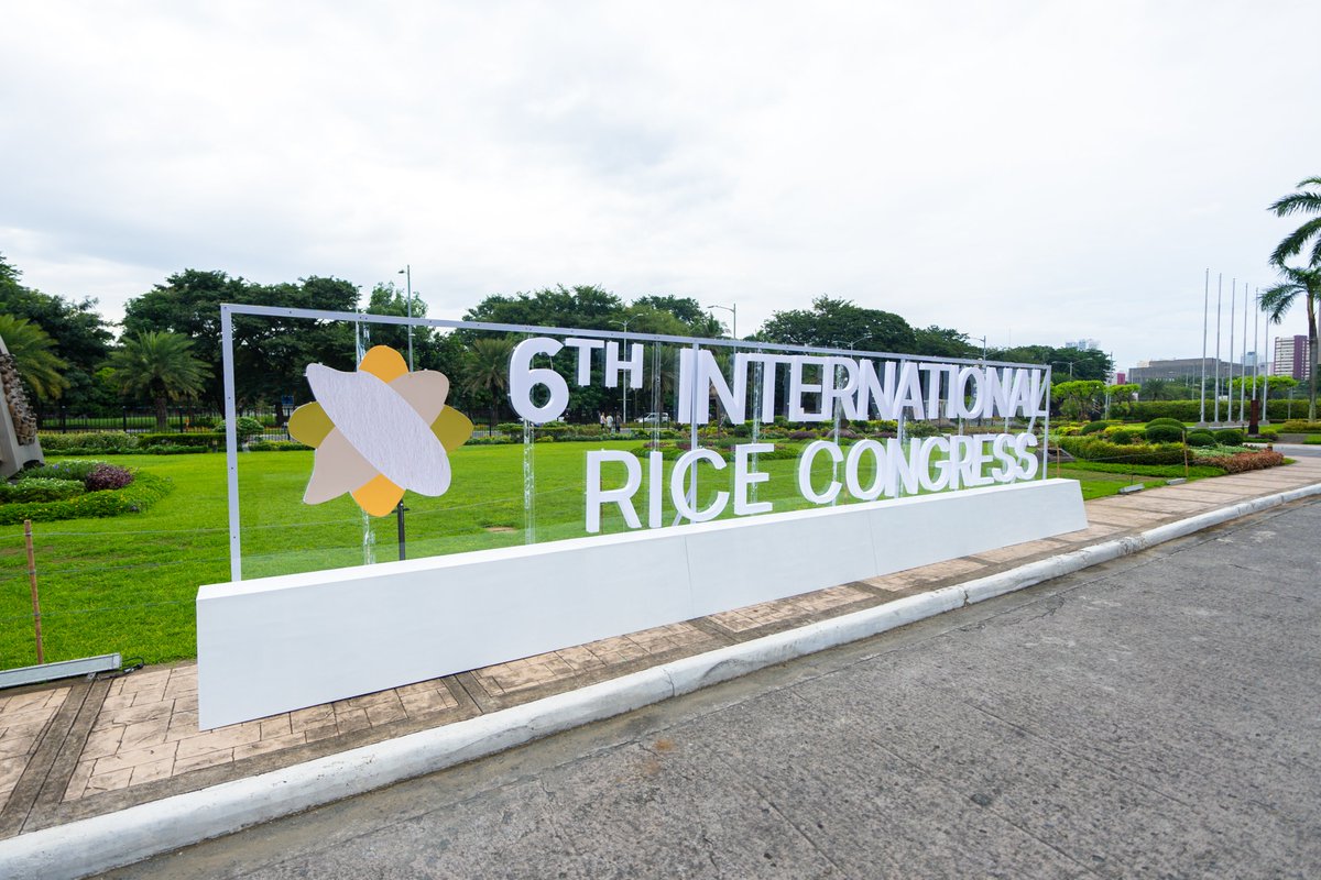 IRRI Education tweet media