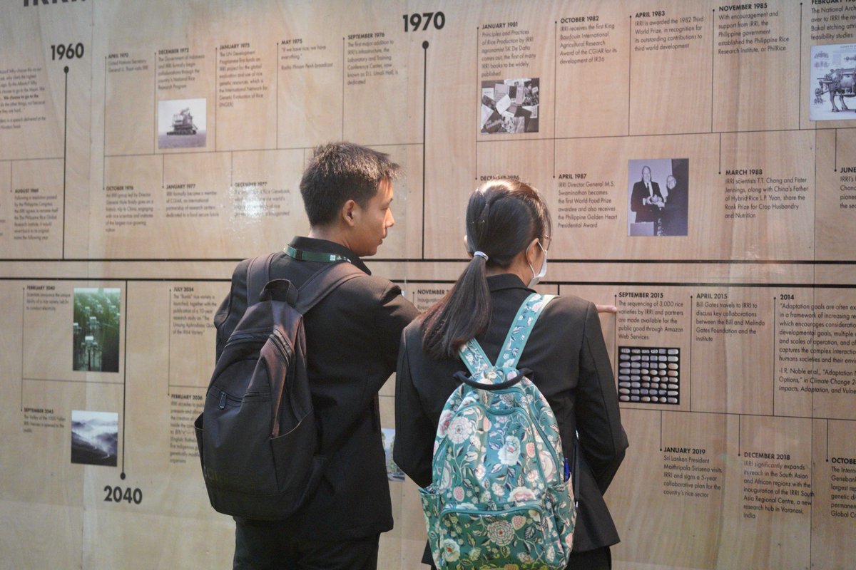IRRI Education tweet media