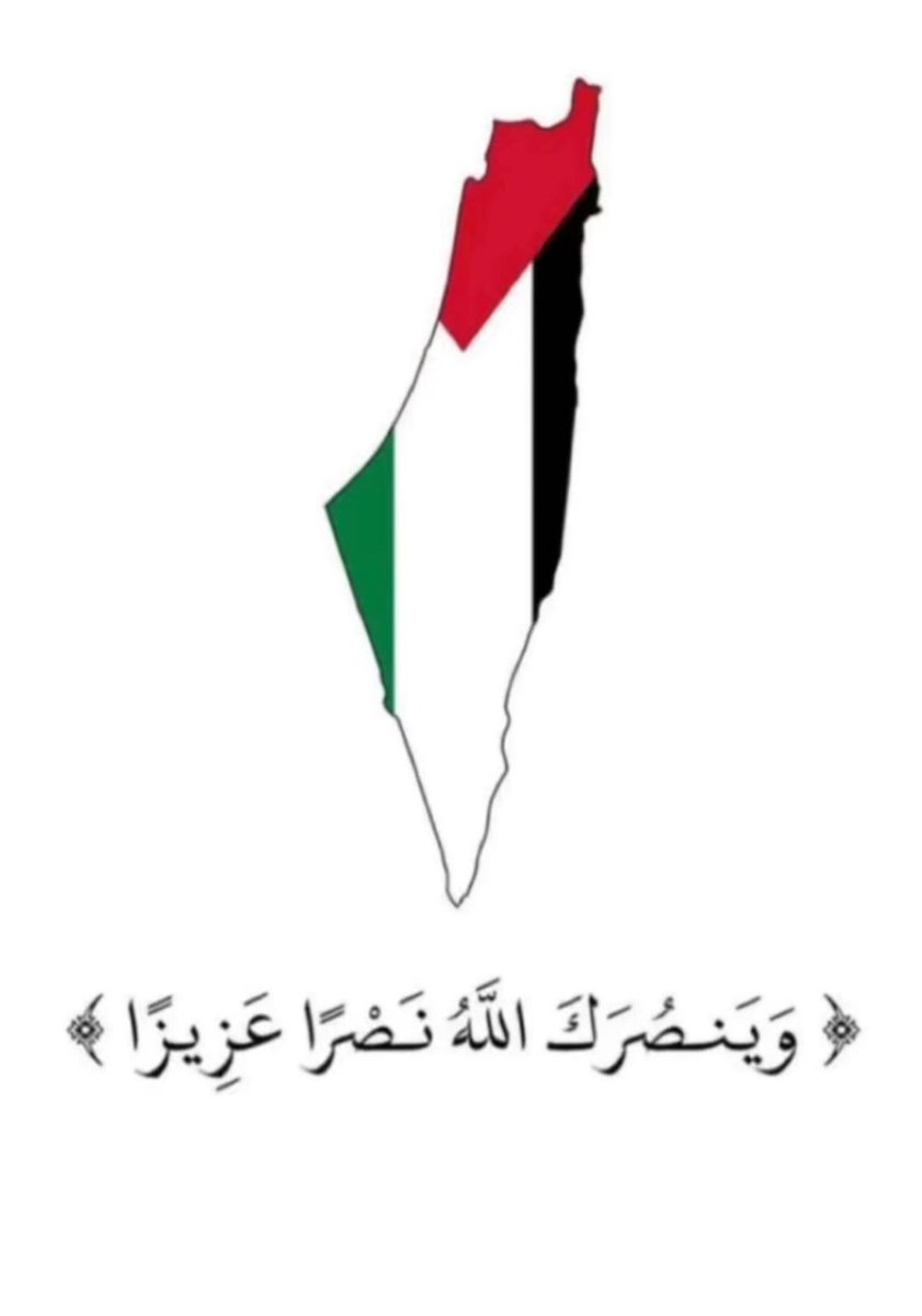 AnoodAsA's tweet photo. والله أحنا أجبن أمة تواجدت منذ بداية الإسلام.. 
أخوانا يموتو كل دقيقة.. أطفال و نساء و أحنا نتفرج عليهم فقط!!!!!!
ماذا ستقولون إمام الله 🫵🏻
حسبي الله ونعم الوكيل
#غزه_الان https://t.co/7lh88k3ltX