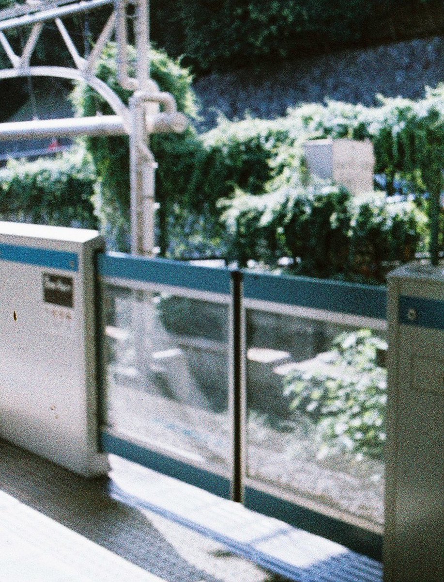 여름🍅 tweet media