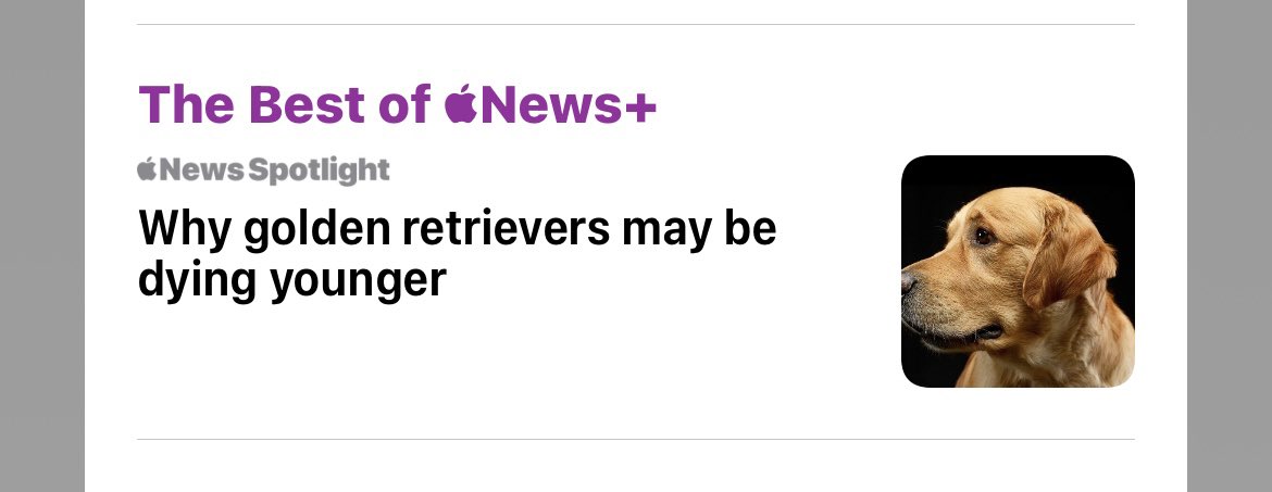 rayannasmith13's tweet photo. Thanks Apple News, this is just what I needed today 😠 https://t.co/nPqEZ3ARWs