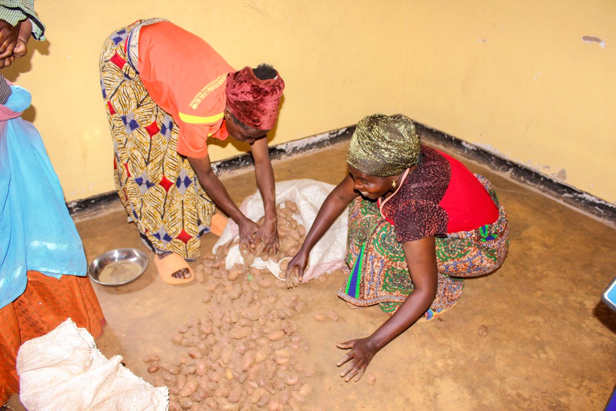 SolidarityofRe1's tweet photo. Through the financial support from @Refugees,under #RLIF, we have trained small farmers in best agronomic practices. As a result, farmers have consistently produced in excess. This has enabled them to have adequate food for household consumption and sold off the excess. https://t.co/tQVFXdJkWn