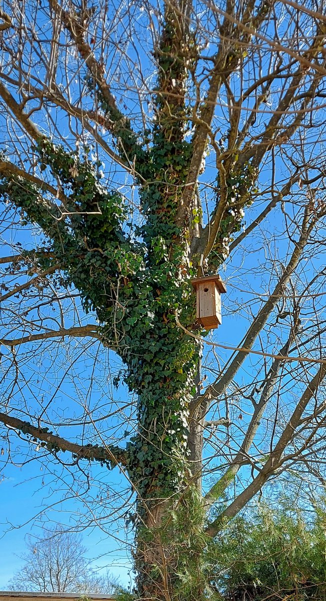 Engeguem setmana de reflexions  i debat sobre el que ens ofereix i el que podem fer per l' entorn rural, a les escoles de poble. #Aprenemalarural <a href="/EscolaRuralSERC/">Escola Rural Secretariat</a> <a href="/educaciocat/">Educació</a> .  Amb el vídeo " Treball amb l' entorn" de #eduard.trepat i " Patrimoni" de #Jordi Feu