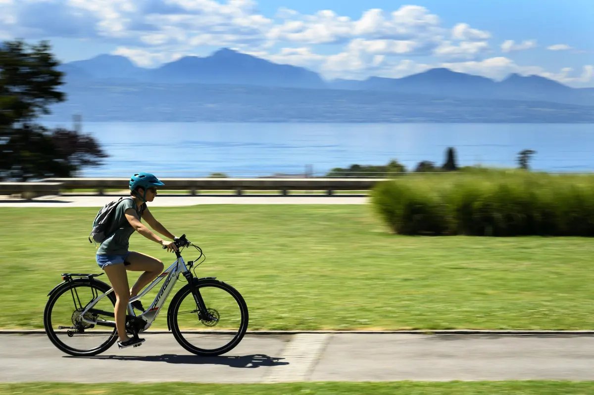 reference_sport's tweet image. Le vélo est un exercice particulièrement doux que l'on peut pratiquer au quotidien et sans contrainte lorsqu'il est utilisé comme moyen de locomotion. Pratiqué régulièrement, le vélo augmente l'élimination des graisses et aide à lutter contre la prise de poids.