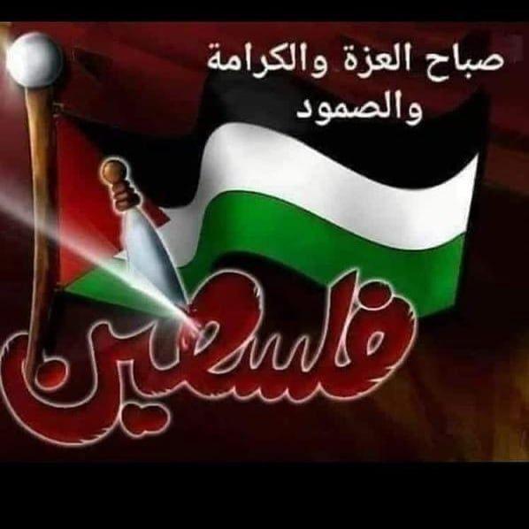 اللهم انصر اخواننا في فلسطين