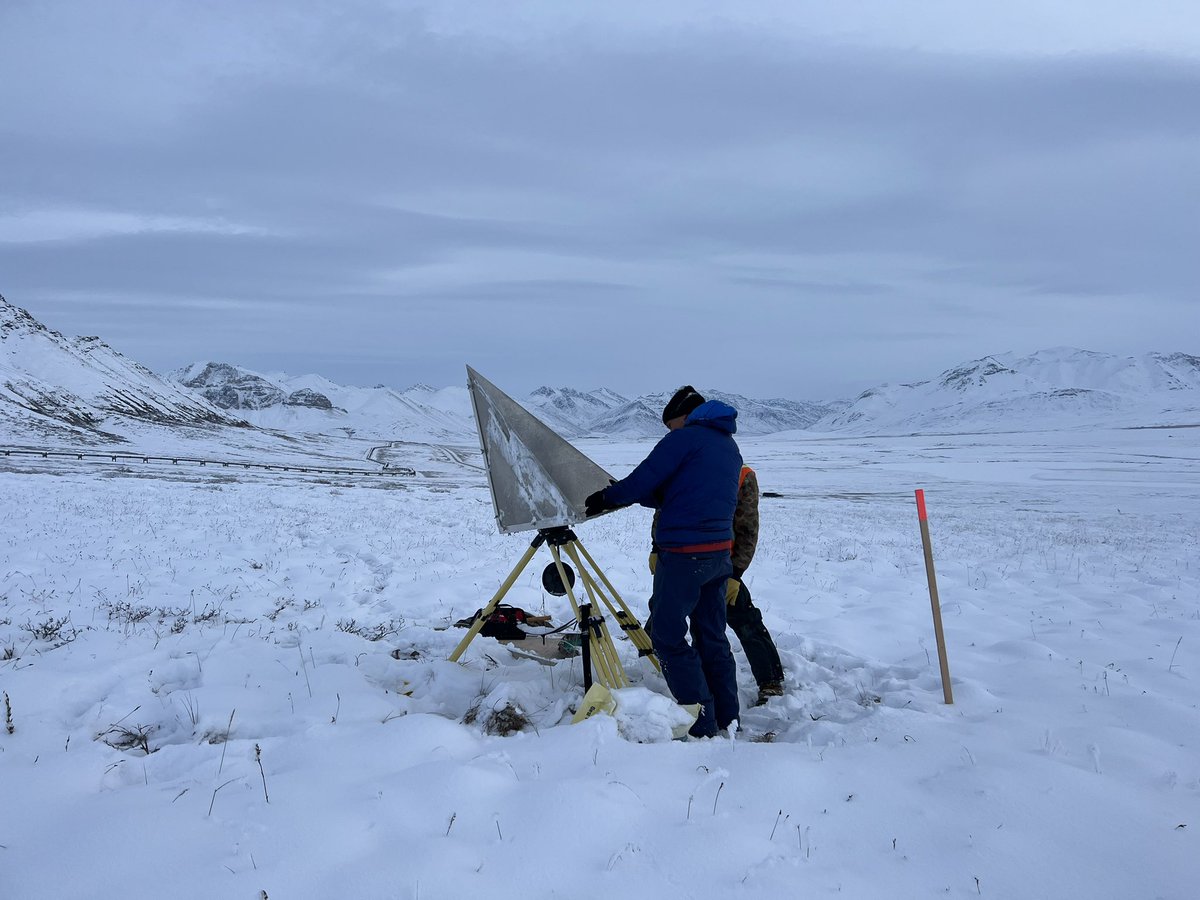 Sveta Stuefer tweet media