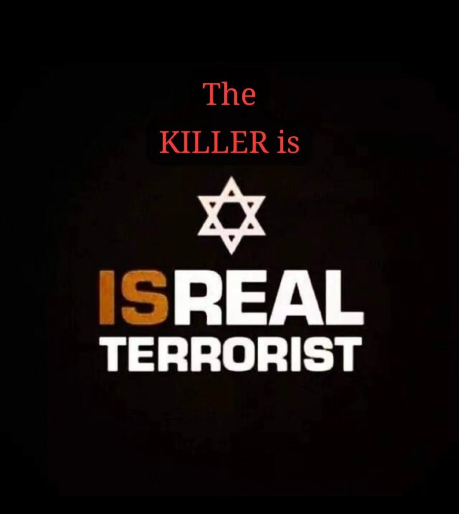 DAYMED 2011 - Doğal Afetlerle Mücadele Derneği (@daymed2011) on Twitter photo 