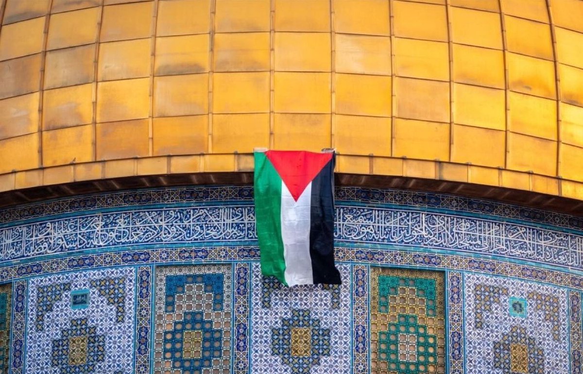 aseiljr's tweet photo. اَللَّهُمَّ بَرْدًا وَسَلَامًا عَلَى غَزَّةَ  وَأَهْلِهَ ، اللّٰهُمَّ احتَضِن غَزَّة بَين يَدَيكَ وَأَنزِل رَحمَتَكَ وَسَكينَتَكَ عَلَىٰ أَهلِها، اللّٰهُمَّ سَخِّر لَهُم مَلائِكَةَ السَّماءِ وَالأَرض ،واحَفظُهم بِعَينِكَ التي لَا تَنام ❤️🇵🇸
 #Gaza #hospital #المستشفى_المعمداني https://t.co/cE5YYVsHSj