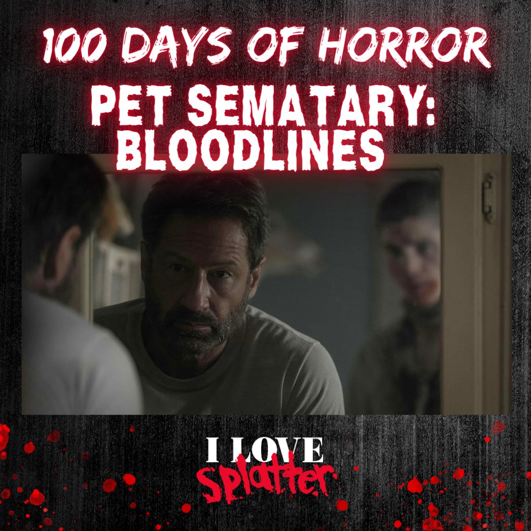 ilovesplatter's tweet image. #100DaysofHorror, Day 87 - PET SEMATARY: BLOODLINES (2023), Directed by Lindsey Anderson Beer. 

There’s something interesting about setting Ludlow up as a cursed town with a secret society of families descended from the original settlers guarding the EVIL beyond the barrier…