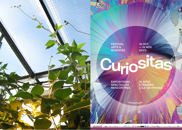 ijpb_fr's tweet photo. #IJPB Festival #Curiositas
18 et 21 novembre, Médiathèque Anatole France, @villedetrappes
Venez danser avec les plantes, découvrir des ateliers ludiques d'observations et +. Le mouvement est au rendez-vous !
+ d'info : https://t.co/XsUQwoLdLY
@sqy https://t.co/nhdURwEnjL