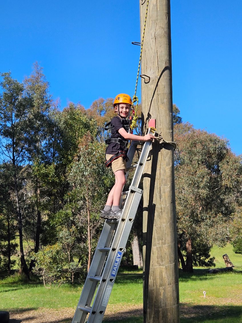 St Bridget's Primary School tweet media