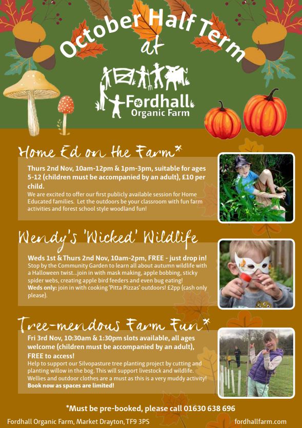 Office_WIA (@office_wia) on Twitter photo 