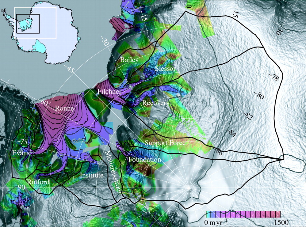 TJ Young 楊敦然 tweet media