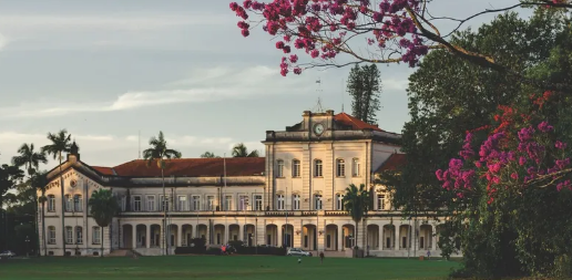 cena_usp's tweet photo. USP em Piracicaba tem 16 pesquisadores no ranking de cientistas mais influentes do mundo.  Saiba mais:  https://t.co/FHENugjZGc https://t.co/hAKB8mUtrJ