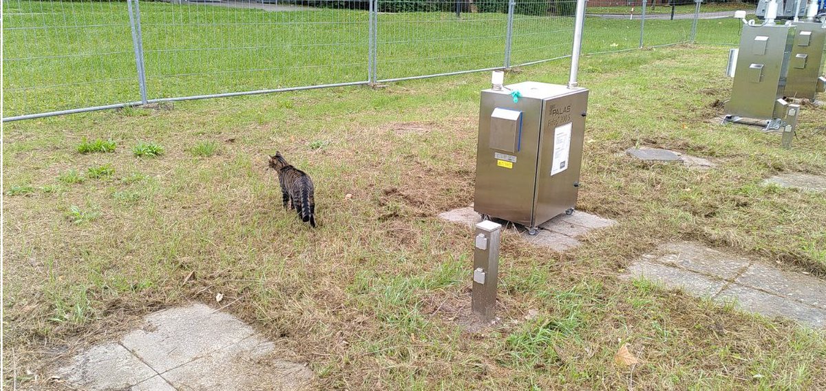 HLNUG_Hessen's tweet photo. Die Abnahme durch die diensthabende #Katze ist erfolgt. Einzige Beanstandung: zu wenig Futter. 
Der #Ringversuch #Partikel kann dann morgen bei uns auf dem Hof starten. 
#LuftmessnetzHessen #CatsOfTwitter https://t.co/ULFmNKSda9