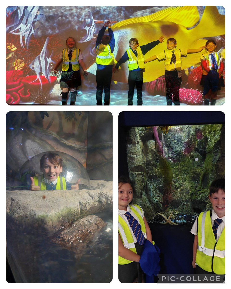 Mrs Lambert REMAT tweet media