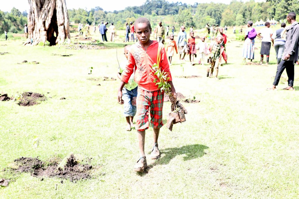 KeForestService's tweet photo. SHORT RAINS TREE GROWING SEASON BEGINS IN EARNEST

With the onset of the short rains season, KFS together with the @Environment_Ke and all the agencies in the ministry have begun a national tree growing exercise to plant over 500 million across the country. https://t.co/GsRLvLetLL